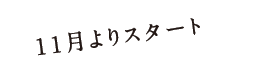 11月よりスタート